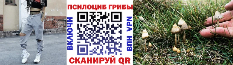 Галлюциногенные грибы прущие грибы  купить наркоту  Гай 