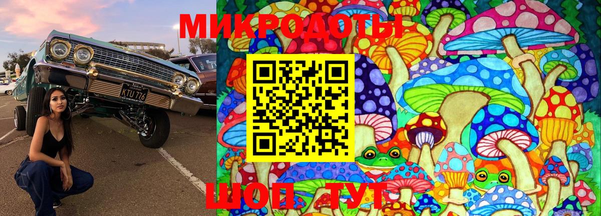 Псилоцибиновые грибы мухоморы  Галлюциногенные грибы GOLDEN TEACHER  Гай 