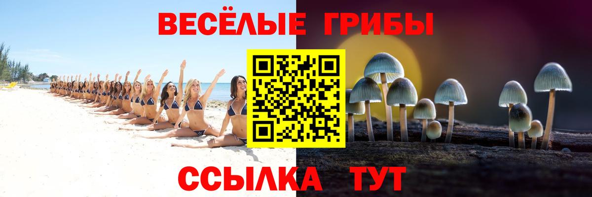 Гай  купить  сайты  Вход с VPN  Псилоцибиновые грибы Magic Shrooms 